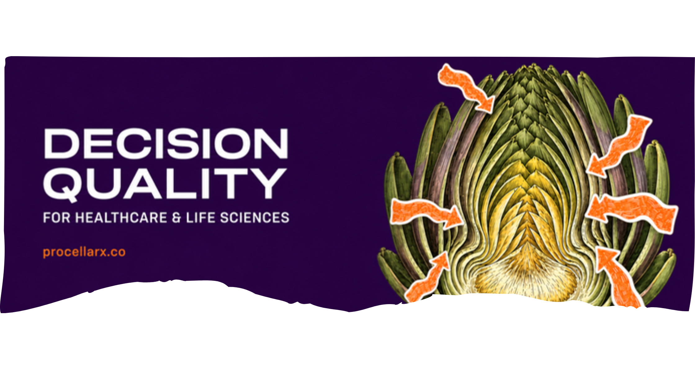 Decision Quality Intelligence Artichoke Model