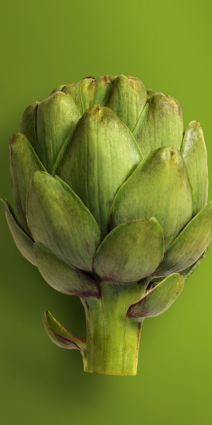 Artichoke
